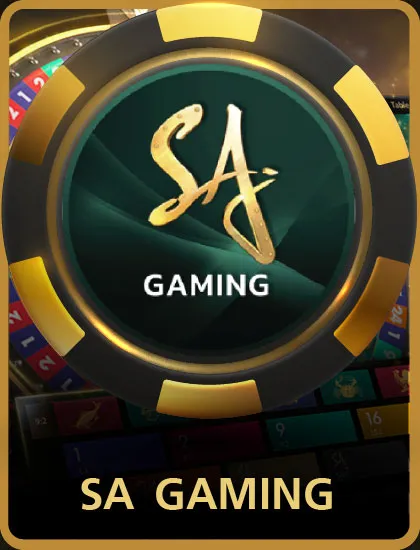 sa-card-669s5